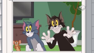 Tom & Jerry Mini Compilation